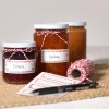 Изображение показывает три банки с вареньем с этикетками «Erdbeere» (клубника) и «Aprikose» (абрикос), рядом находятся декоративный шпагат и этикетки, установленные на мешковине.